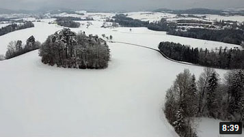 Der Flug zur Bauernbuche