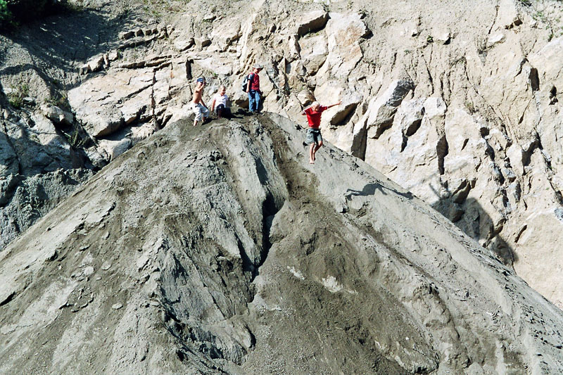 imm009_10