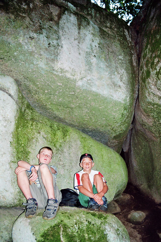 imm019_20